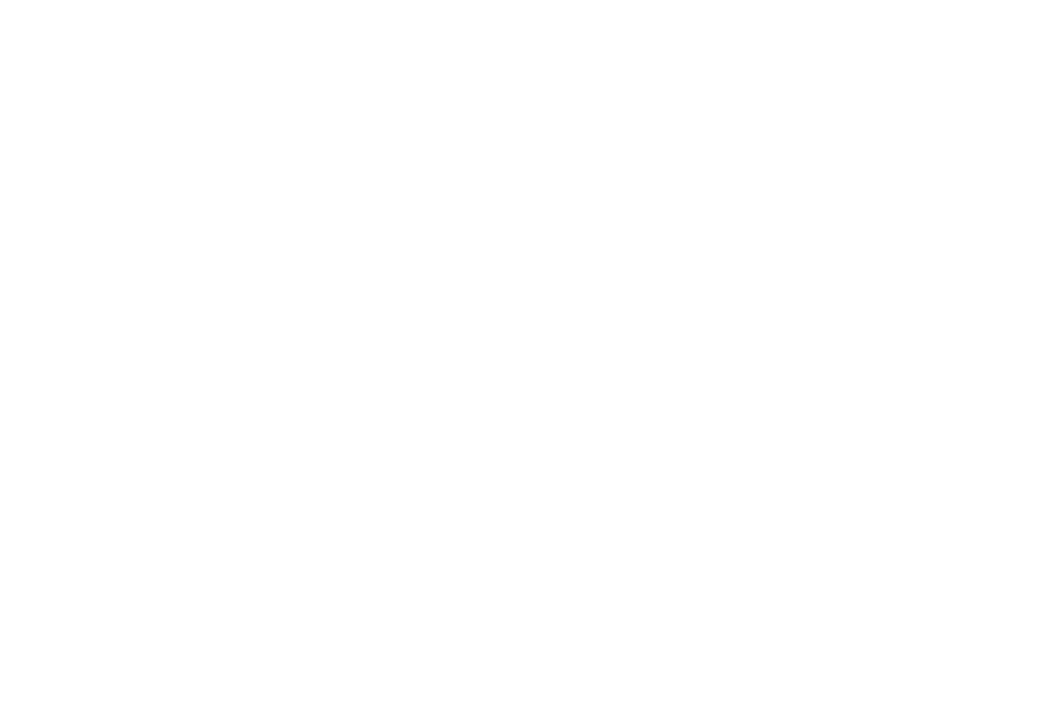 Fintrick Logo